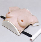 महिला ऊपरी शरीर अस्पताल सिम्युलेटर स्तन ट्यूमर परीक्षा के लिए आकार स्तन आकार