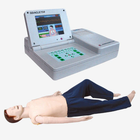 कॉलेज प्रशिक्षण के लिए एसीएलएस कम्प्यूटर स्क्रीन के साथ ईसीजी प्रौढ़ प्राथमिक चिकित्सा मानिकान