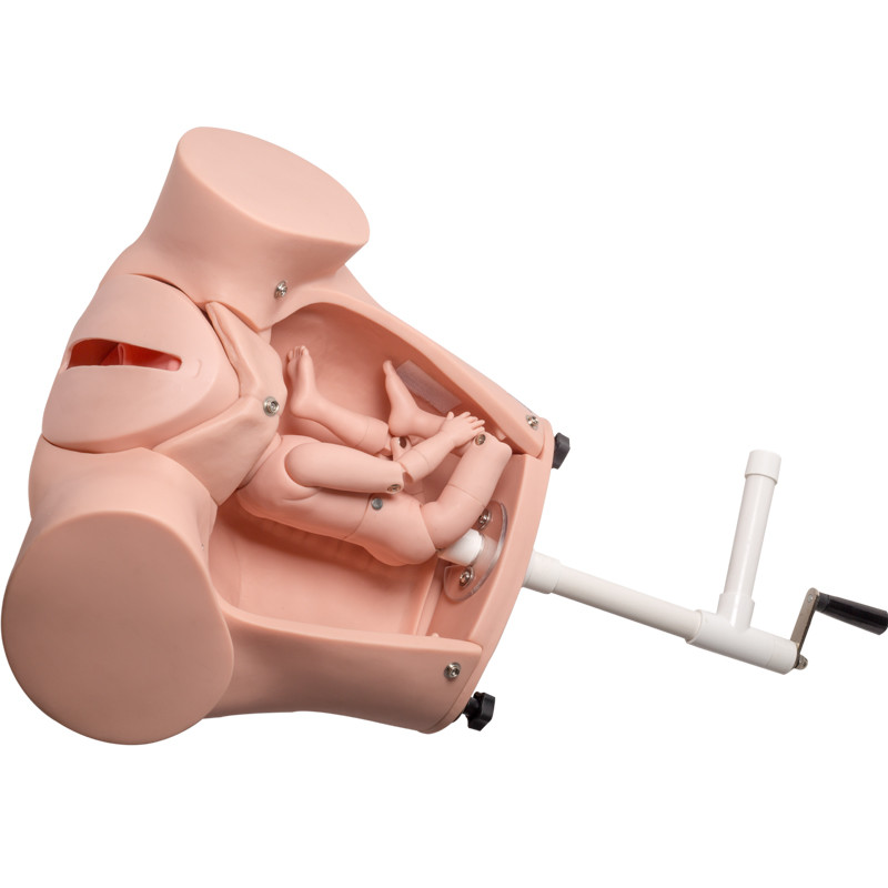 गर्भनाल के साथ एसजीएस पीवीसी प्रशिक्षण शिशु जन्म सिम्युलेटर