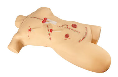 Adult body with leg suturing and bandaging surgical simulators / medical simulation